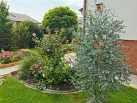 IMG_20220728_121147.jpg