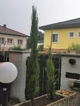 IMG_20220727_165659.jpg