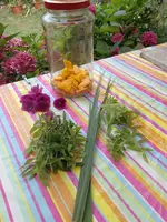 IMG_20220728_153530.webp