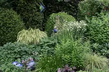 Juli       1022.webp