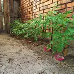 20220728_170623.webp