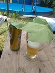 IMG_20220728_170638.jpg