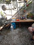 IMG_20220727_182054.jpg