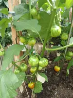 IMG_20220728_130743.webp