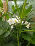 IMG_20220728_130819.jpg