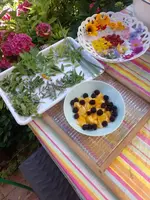 IMG_20220722_115310.webp