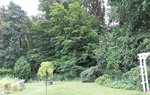 Wald (3).jpg