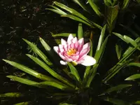BILD0310.JPG