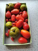 IMG_20220729_125002.webp