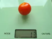20220729_141917.jpg