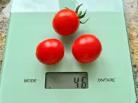 20220729_144920.jpg