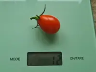 20220729_145124.jpg