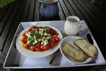 Tomaten 0122.JPG