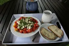 Tomaten 0122.webp