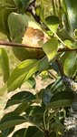 1ECEA924-5781-4D19-8AEC-2A7763952F65.jpeg