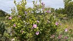 3A485D0F-33EC-472B-83DA-BC13CE288106.jpeg