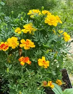 20220730_014429.webp
