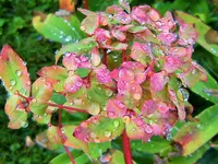 DSCF3047 (2).webp