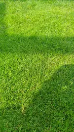 20220730_103940.jpg