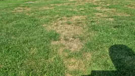 20220730_104135.webp