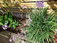 IMG_20220727_094157.webp