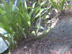 BILD0291.JPG