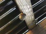 BILD0288.JPG