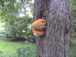 BILD0256.JPG