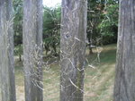 BILD0351.JPG