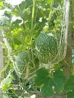 IMG_20220730_113055.webp