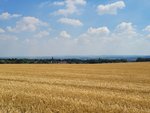 IMG-20220730-WA0012.jpg