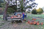IMG_8276 - Copy.JPG