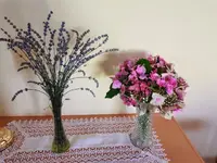 IMG_20220731_093233.webp