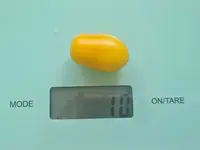 20220731_131048.jpg