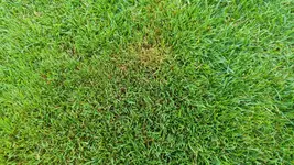 20220730_103626.webp