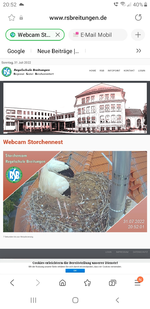 Screenshot_20220731-205205_Samsung Internet.webp