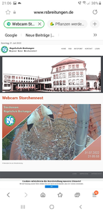 Screenshot_20220731-210602_Samsung Internet.webp