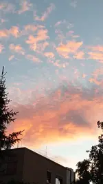20220731_211747.webp