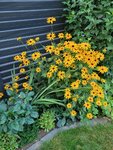 20220801_061948.jpg