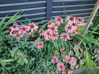 20220801_061923.jpg