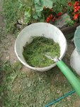 IMG_20220731_130734.jpg
