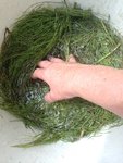 IMG_20220731_130758.jpg