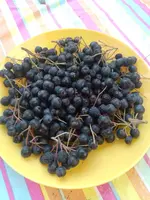 IMG_20220731_114454.webp