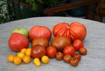 August    0122.JPG