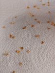 IMG_20220801_135654.jpg