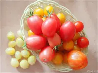 c002.webp