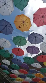 20220801_133041.webp