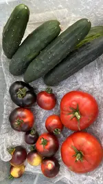 238D525D-D625-4AEC-8859-C78F0E8E1523.jpeg