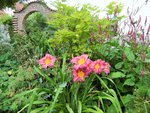 DSCF3052 (2).JPG
