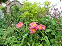DSCF3052 (2).webp